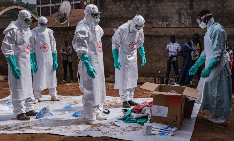 Brote de ebola