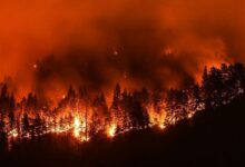 Incendio en California
