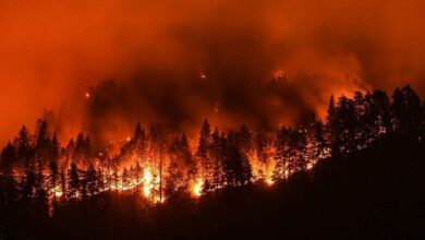 Incendio en California