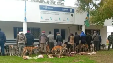 Caza Furtiva en Chascomús