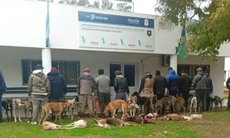 Caza Furtiva en Chascomús