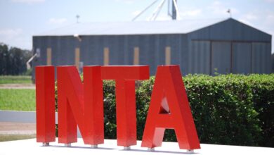 Inta