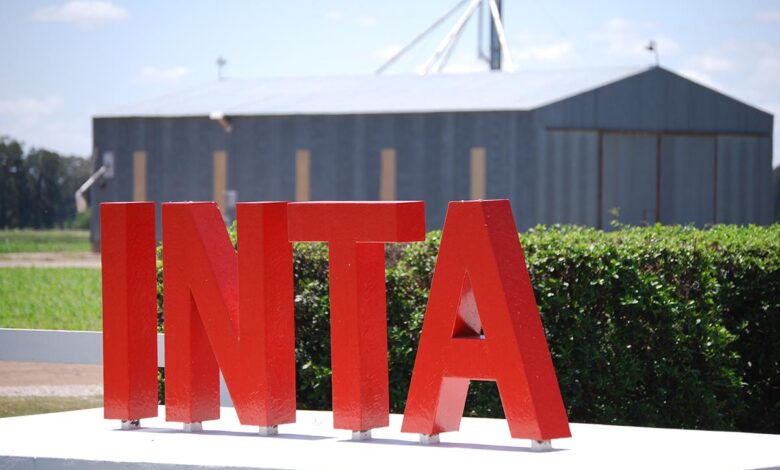 Inta